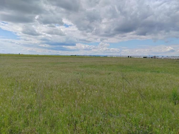 Teren de 114000 mp, în Ariceștii Rahtivani