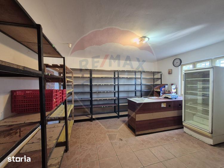 Casă cu 4 camere cu Teren 4700 Mp în Parincea