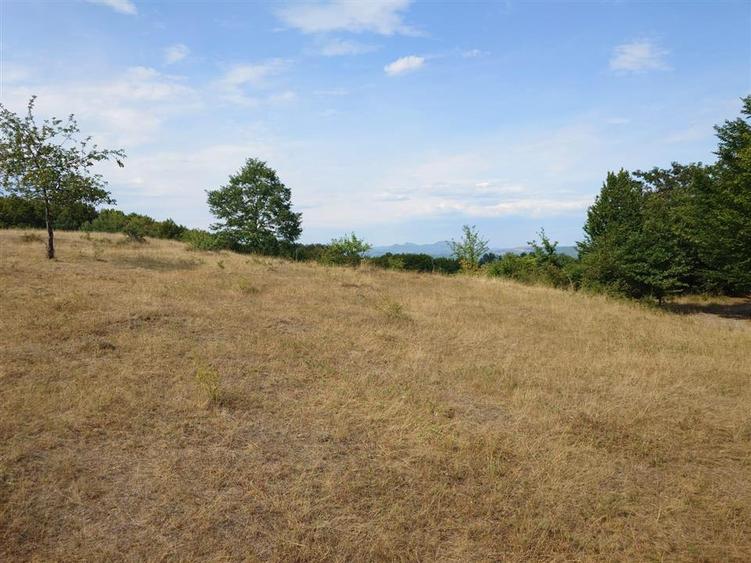 Teren agricol extravilan de 9059 mp, în Exterior Est