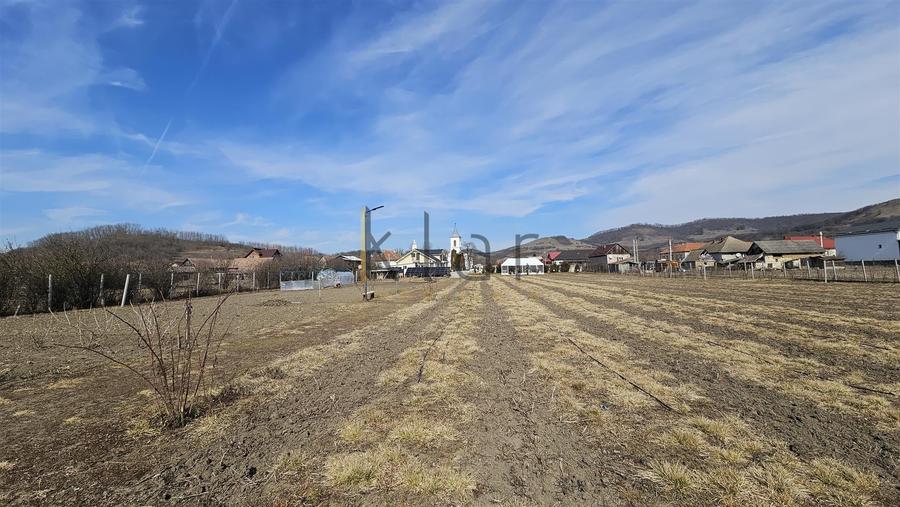 Casă individuală cu 3 camere decomandat cu Teren 5800 Mp în Fodora