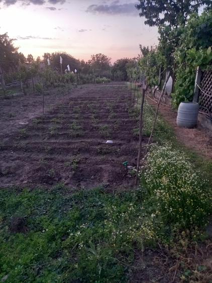 Casă cu 3 camere cu Teren 1776 Mp în Mineri