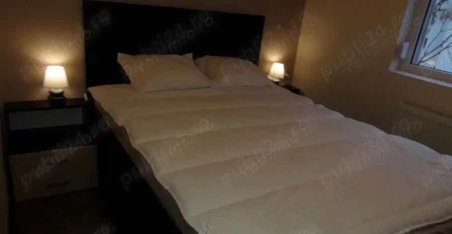 Apartament cu 3 camere decomandat în Drumul Sării