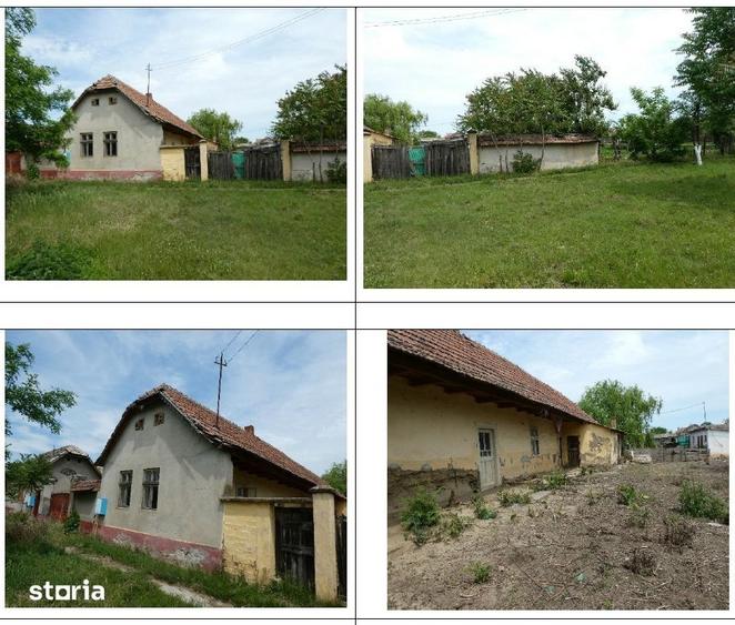 Cota de 1/2 din casa si teren, loc. loc. Graniceri, jud. Arad - 4