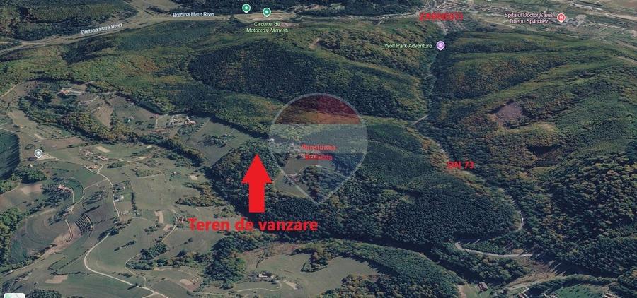 Teren agricol extravilan de 23495 mp, în Poiana Mărului