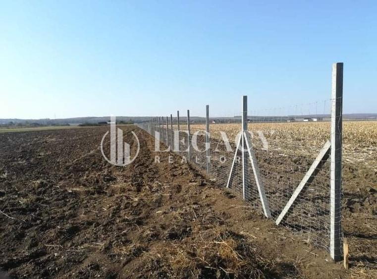 Teren agricol intravilan de 30101 mp, în Tudor Vladimirescu