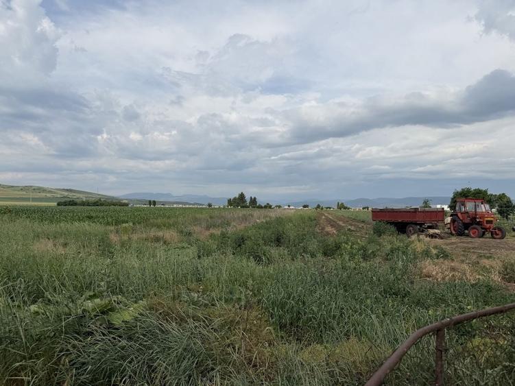 Casă cu 3 camere în Bogata
