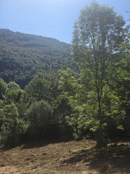 Teren de 2000 mp, în Teșila