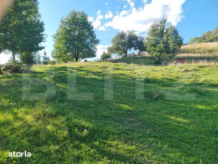 Teren de 2500 mp, în Central