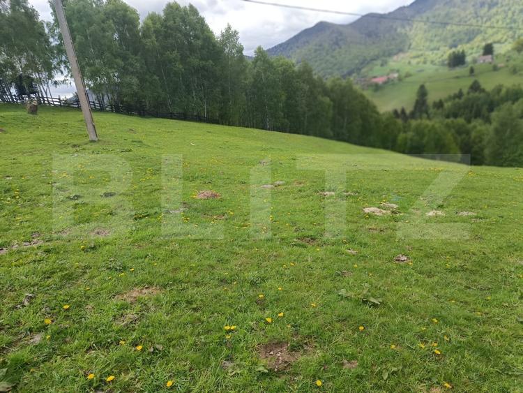 Casă individuală cu 2 camere cu Teren 4807 Mp în Peștera