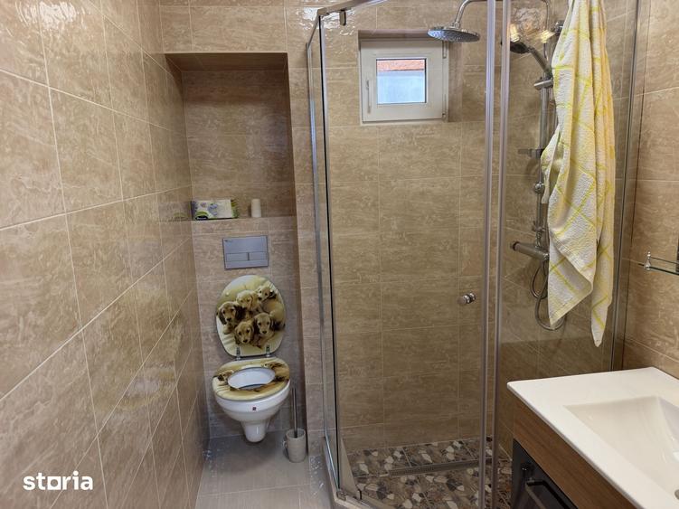 apartament 3 camere mansarda Viteazu-Biruintei - 5