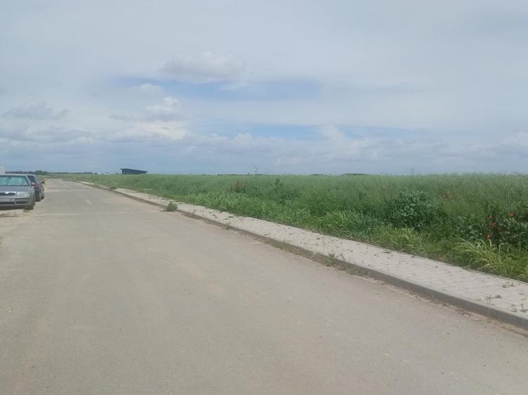Teren Construcții intravilan de 8500 mp, în Dragomirești-Vale