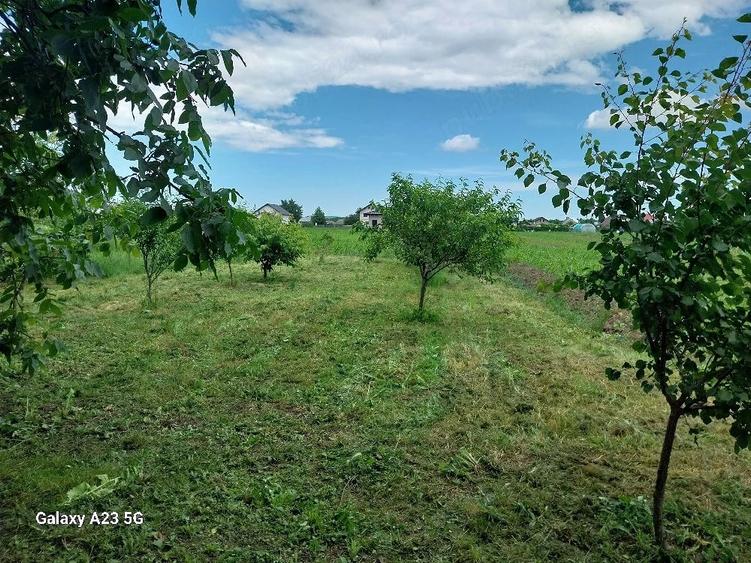 Casă cu Teren 1200 Mp în Zănești