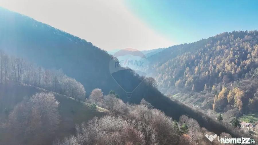 Teren Colinar Panoramic 17.684 mp in Scheii Bra?ovului - 10