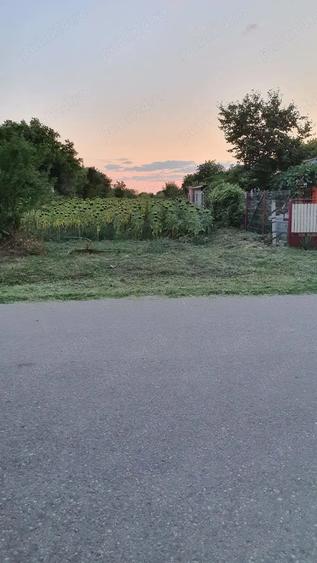Vand teren intravilan Ilfov, Nuci, Merii Petchii - 2