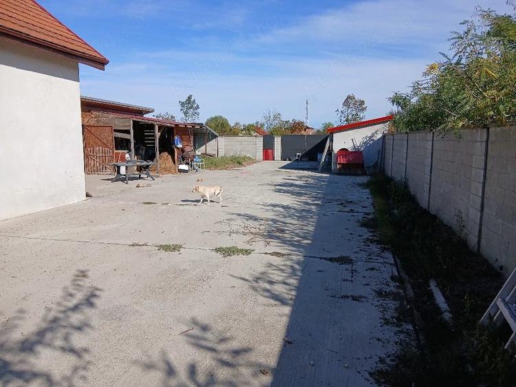 Casă cu Teren 1400 Mp în Tormac