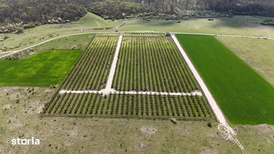 Teren de 500 mp, în Nufărul