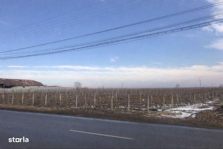Teren de 4019 mp, în Central