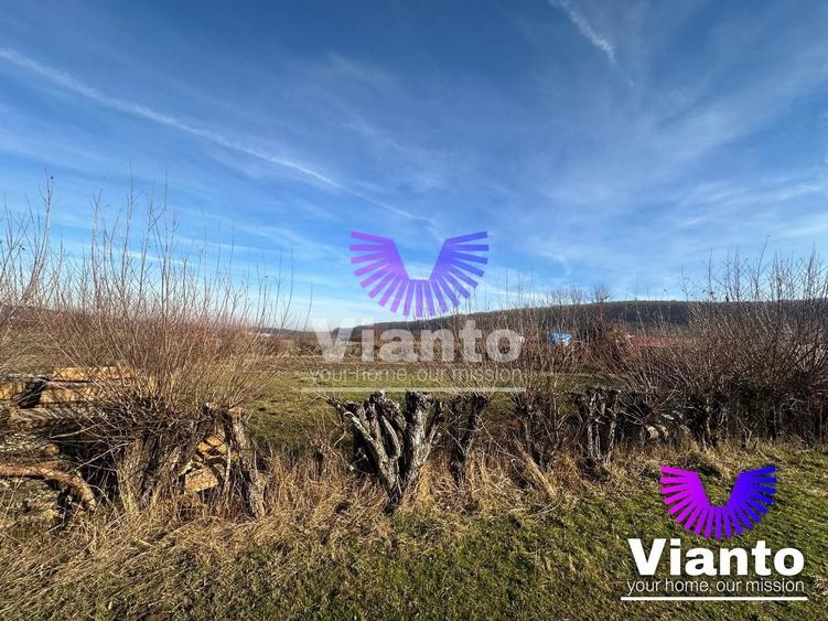 Teren Construcții intravilan de 500 mp, în Rășinari