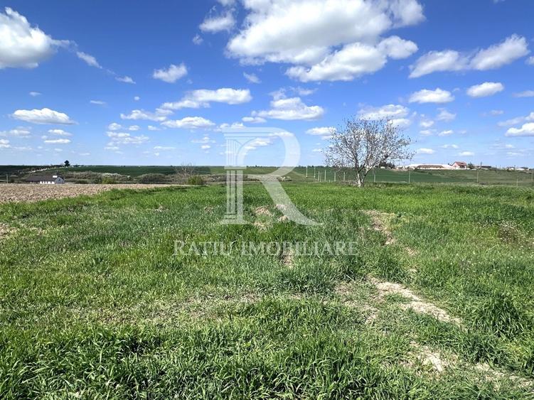 Teren Construcții intravilan de 2033 mp, în Leș