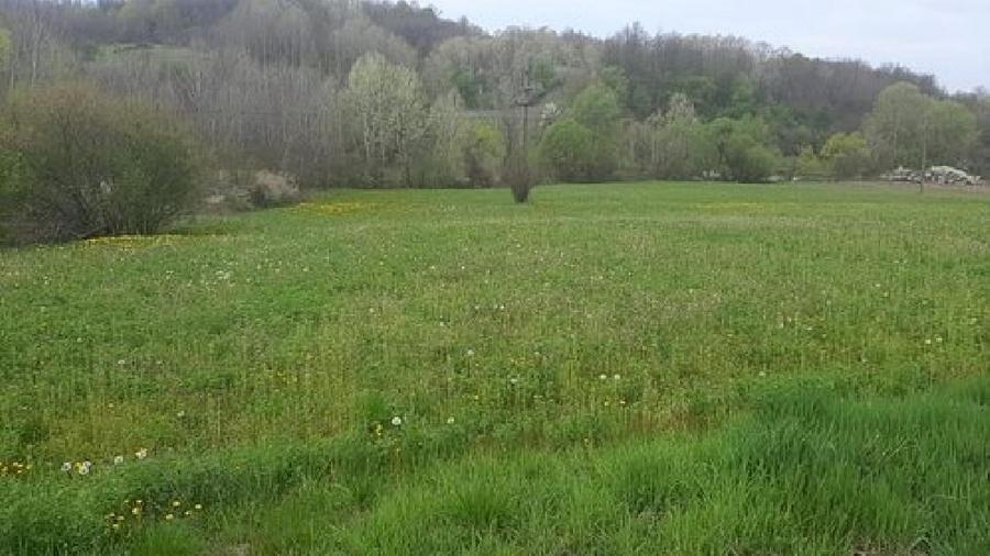 Teren Construcții intravilan de 3150 mp, în Mădulari