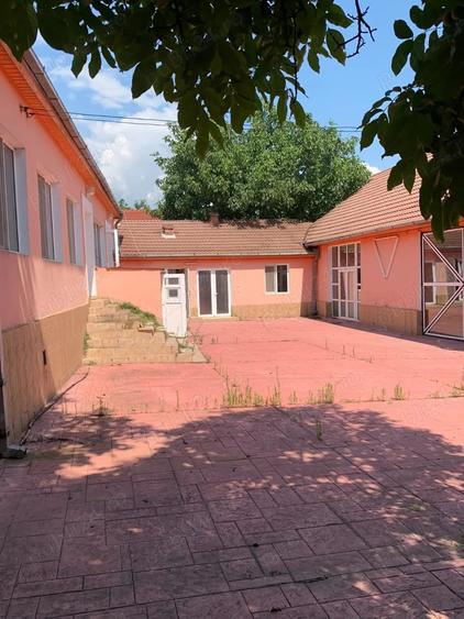 Casă cu 2 camere cu Teren 1800 Mp în Cricău
