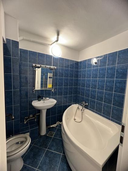 Apartament cu 2 camere decomandat în Dosu Bricii