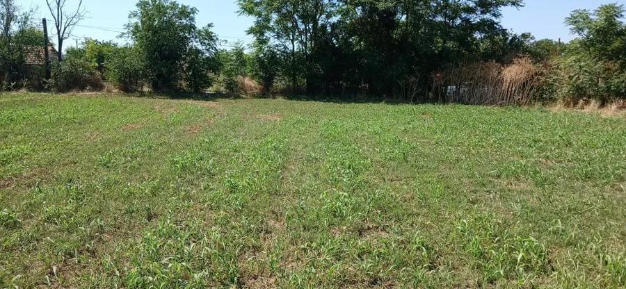 Teren de 2632 mp, în Misleanu
