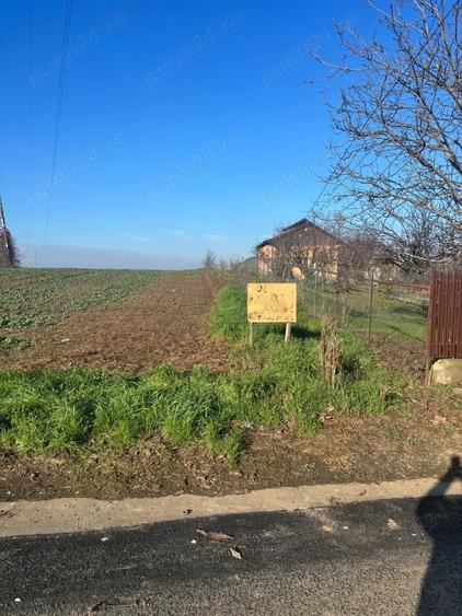 Teren de 5000 mp, în Glina