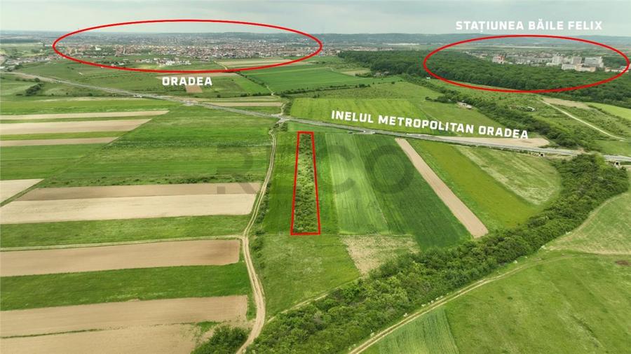 Teren de 5700 mp, în Cordău