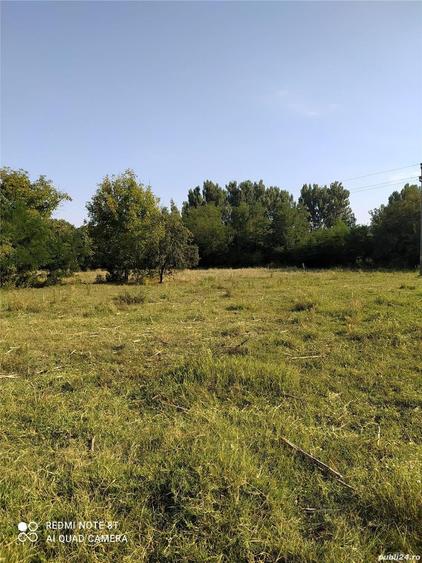 Teren de 12872 mp, în Frâncești