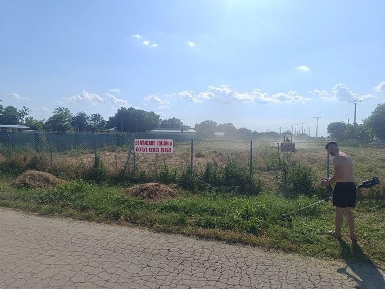 Teren intravilan 2.000 mp Oancea, Braila - 2