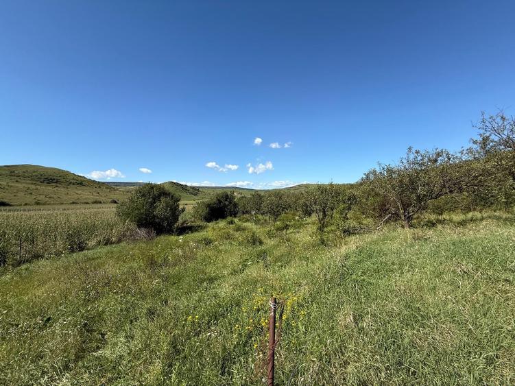 Teren Construcții intravilan de 800 mp, în Pata