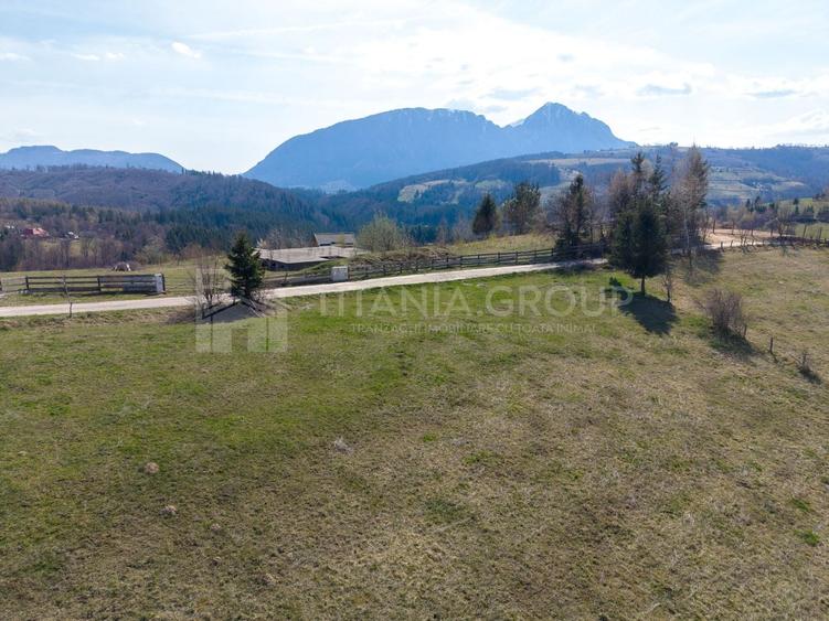Teren Construcții intravilan de 3791 mp, în Poiana Mărului