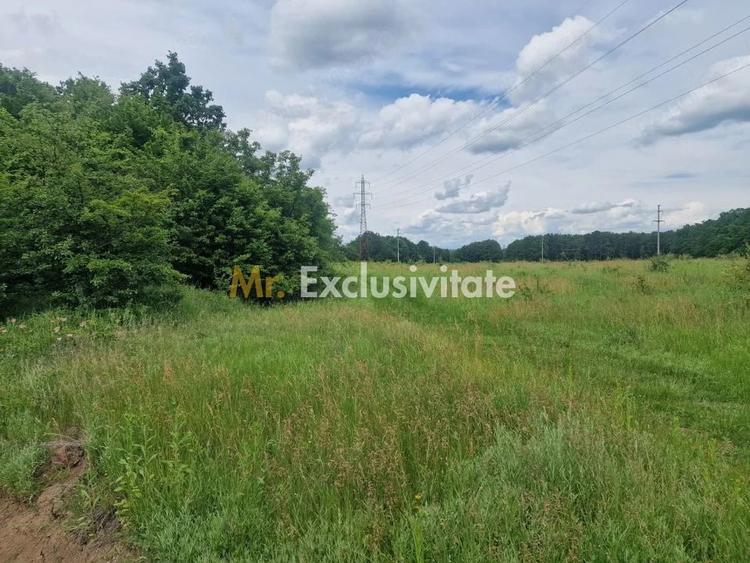 Teren de 12421 mp, în Big-Bascov