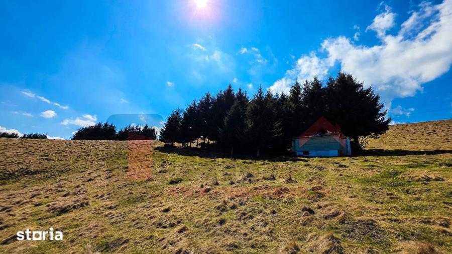Teren Deosebit | Panoramic + PUZ+Cabana | Drumul Paltinisului | 746mp - 8