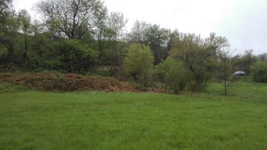 Teren de 2798 mp, în Sârbi