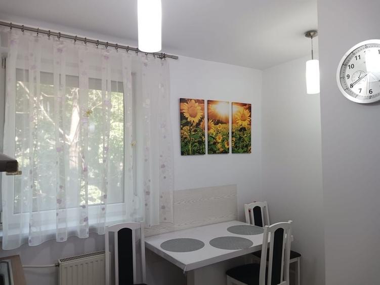 Apartament 2 camere de inchiriat - 7