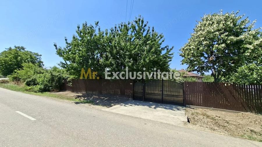 Casă cu Teren 1667 Mp în Teiu