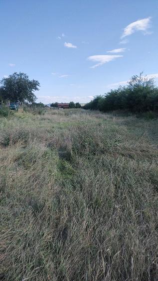 Casă cu Teren 5000 Mp în Central
