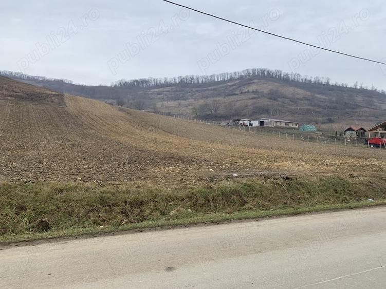 Teren de 5800 mp, în Șaroș pe Târnave