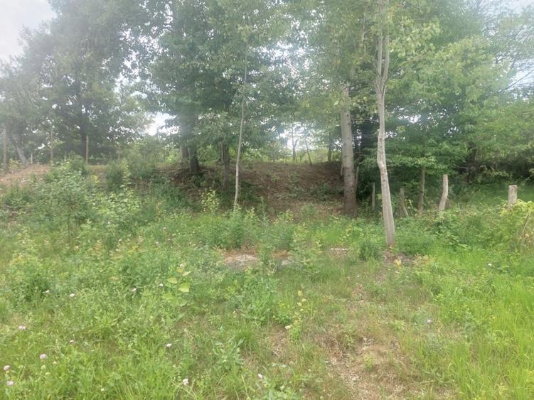 Teren de 1384 mp, în Anghinești