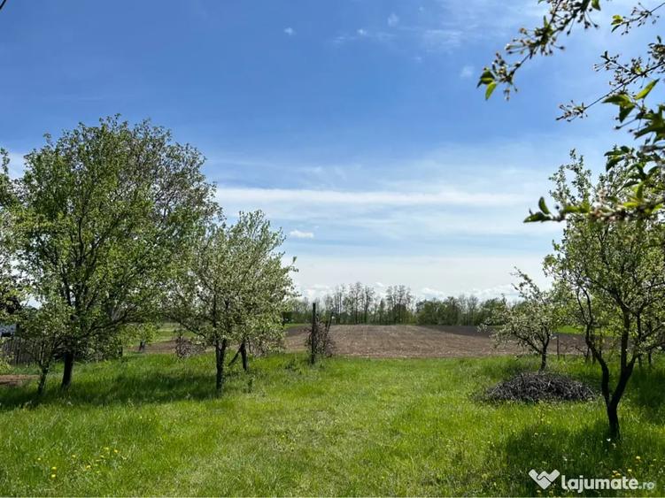 Teren de 7100 mp, în Răucești