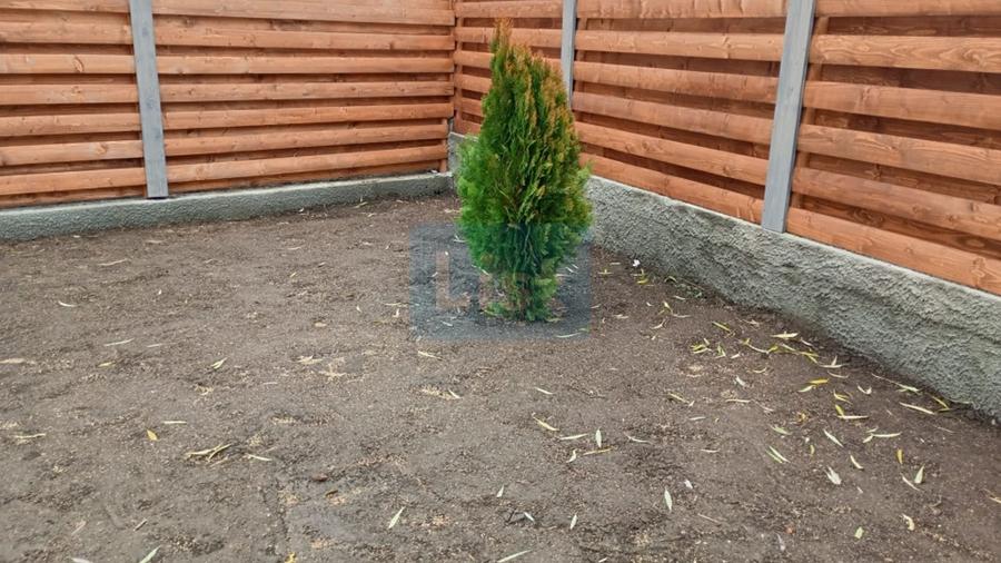 Casă individuală cu 3 camere cu Canalizare în Mihail Kogălniceanu