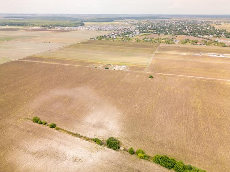 Teren Construcții intravilan de 11332 mp, în Dascălu