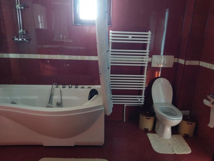 vila lac Buftea, piscina si teren 1000 mp - 9