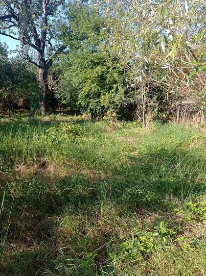 De vanzare teren intravilan in comuna Gurahon?. - 4