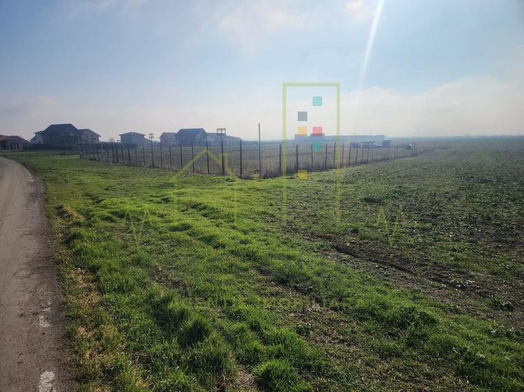 Teren agricol extravilan de 3000 mp, în Săcălaz