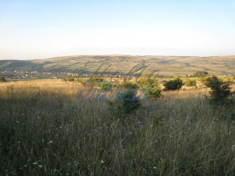 Teren Construcții intravilan de 5700 mp, în Chinteni
