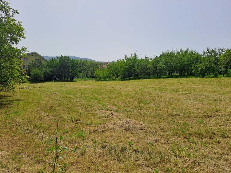 Teren de 4295 mp, în Stana