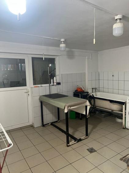 Casă individuală cu 8 camere cu Canalizare în Torontalului